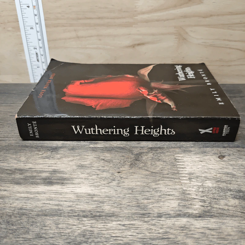 Heights Wuthering - Emily Brontë รูปที่ 2