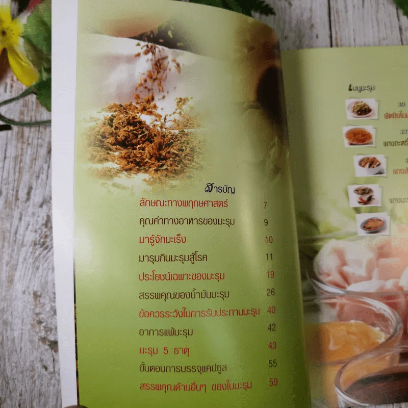 มะรุม 5 ธาตุ เสริมภูมิคุ้มกันมะเร็ง รูปที่ 8