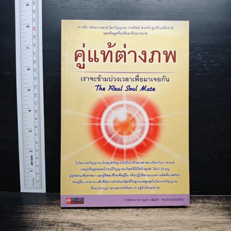 คู่แท้ต่างภพ - ศาสตราจารย์ อนุรุต ระสิพงศ์ รูปที่ 1