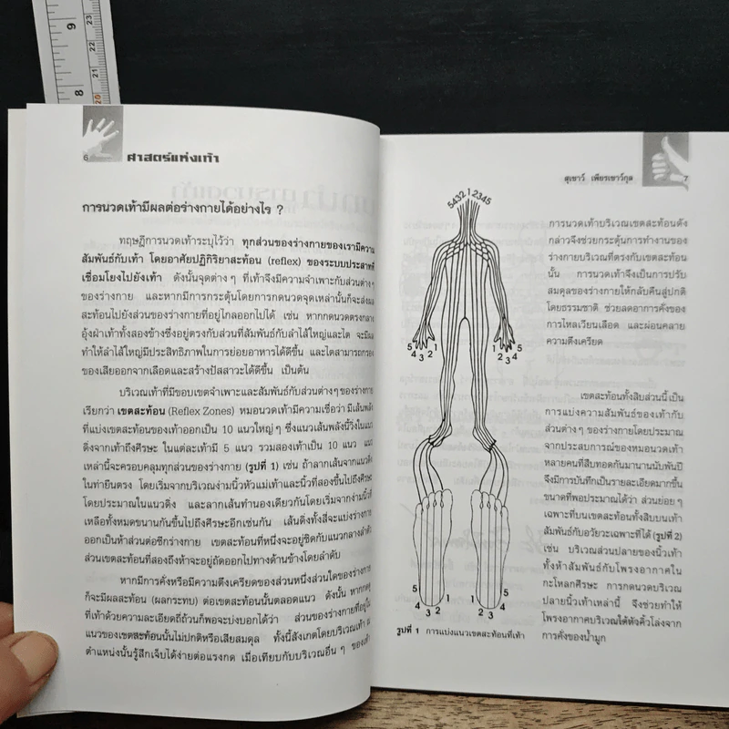 ศาสตร์แห่งเท้า - แพทย์จีนสุเชาว์ เพียรเชาว์กุล รูปที่ 7