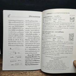 รู้ไว้ใช่ว่า ประสาวิทยาศาสตร์ เล่ม 1 - กฤษณา ชุติมา รูปที่ 10
