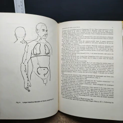 Fundamentals of Traditional Chinese Medicine - Yin Huihe รูปที่ 9