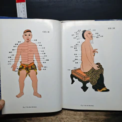 The Miracle of Acupuncture รูปที่ 7