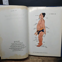 The Miracle of Acupuncture รูปที่ 6