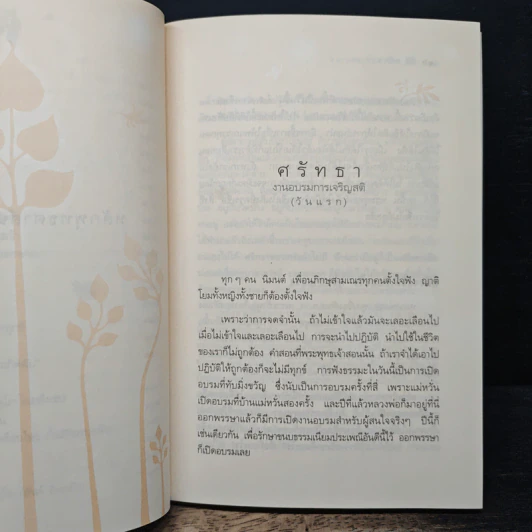 ศรัทธากับหลักพุทธศาสนาที่แท้จริง - หลวงพ่อเทียน จิตฺตสุโภ รูปที่ 10