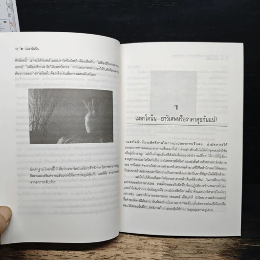 เมลาโทนิน ชีวิตที่สดชื่นแจ่มใส - ศักดิ์ บวร รูปที่ 9