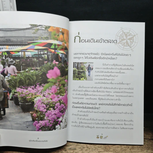 คู่มือเลือกซื้อและขาย ต้นไม้สำหรับมืออาชีพ - นก วรรณพร รูปที่ 8