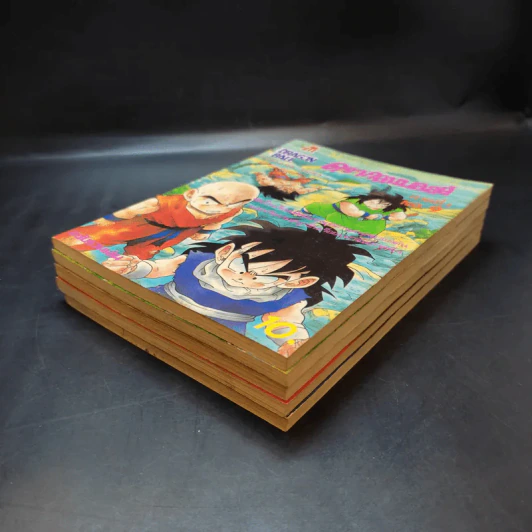 ดรากอนบอลล์ ฉบับรวมเล่ม ภาค 4 เล่ม 5-9 รูปที่ 6