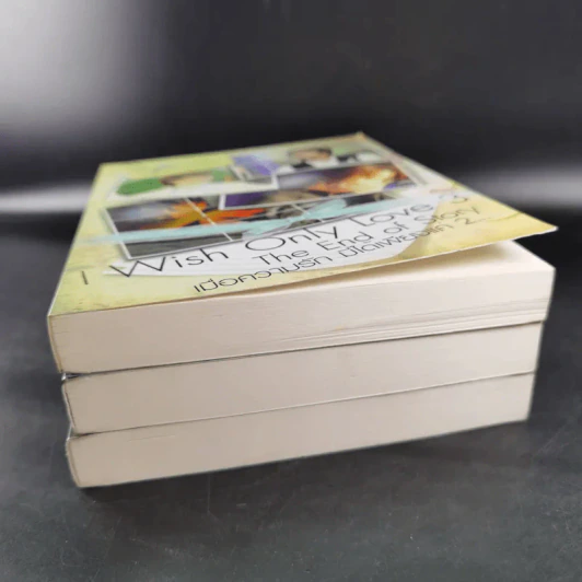 I Wish Only Love เล่ม 1-3 - E-Terk รูปที่ 3