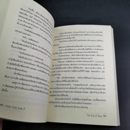 I Wish Only Love เล่ม 1-3 - E-Terk รูปที่ 11