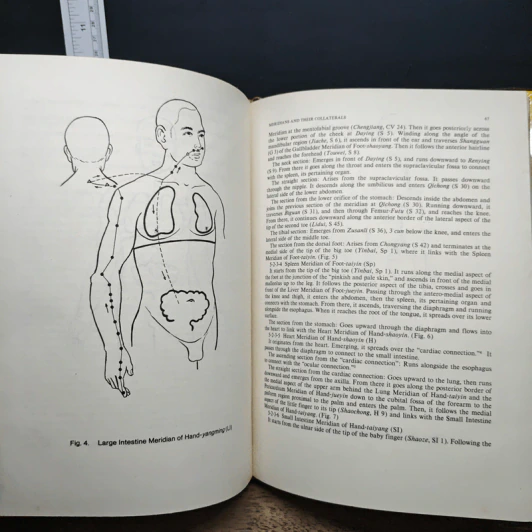 Fundamentals of Traditional Chinese Medicine - Yin Huihe รูปที่ 9