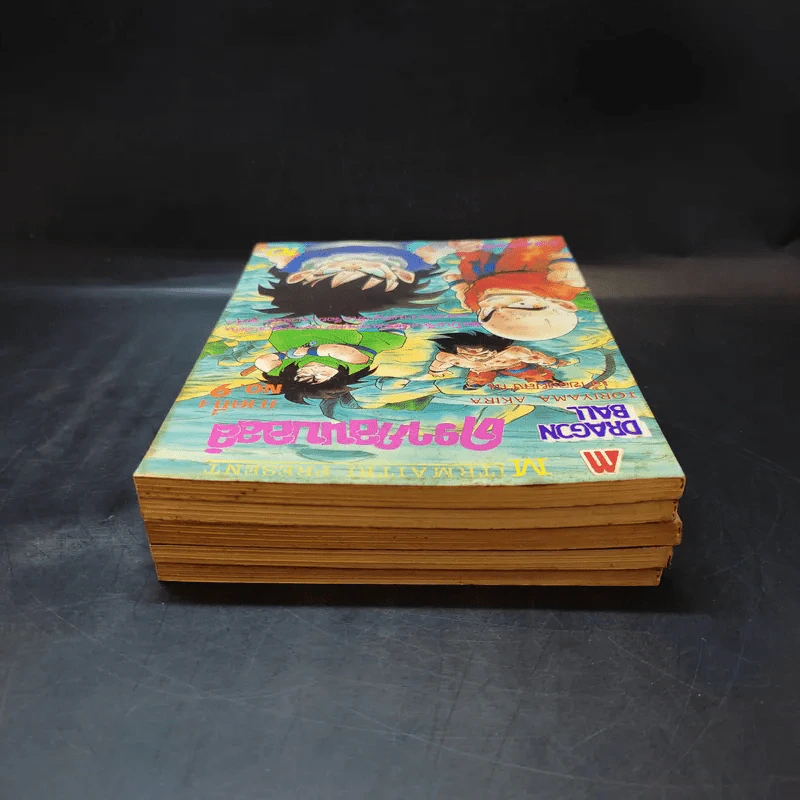 ดรากอนบอลล์ ฉบับรวมเล่ม ภาค 4 เล่ม 5-9 รูปที่ 5