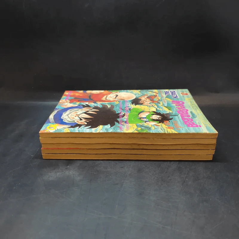 ดรากอนบอลล์ ฉบับรวมเล่ม ภาค 4 เล่ม 5-9 รูปที่ 4