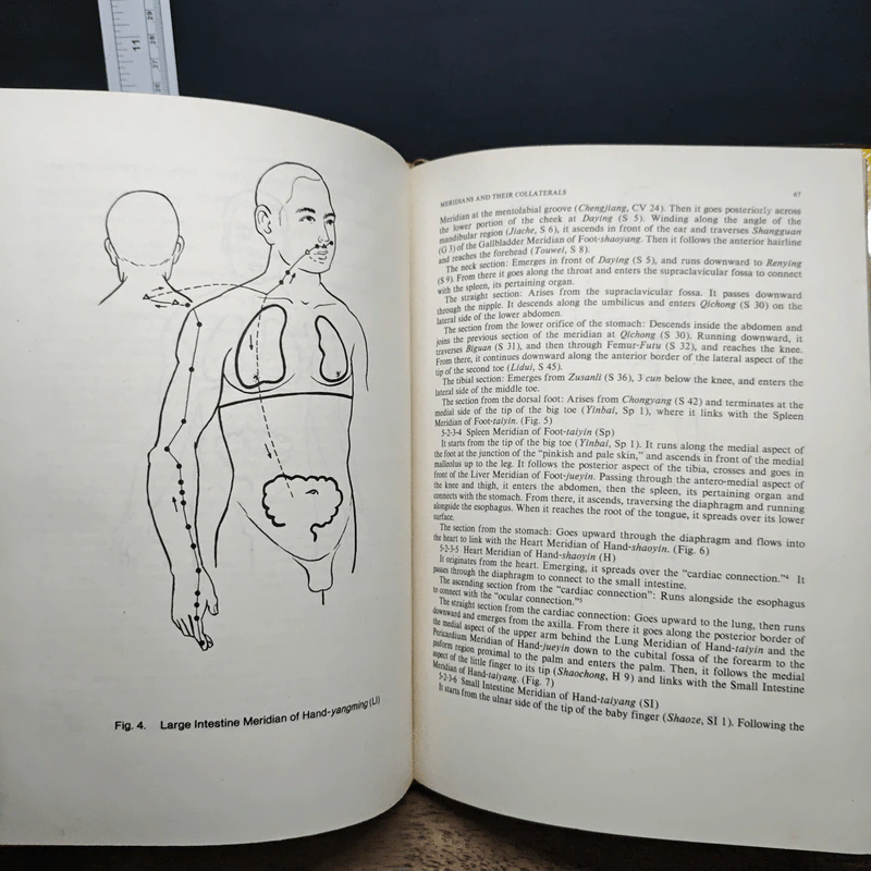 Fundamentals of Traditional Chinese Medicine - Yin Huihe รูปที่ 9