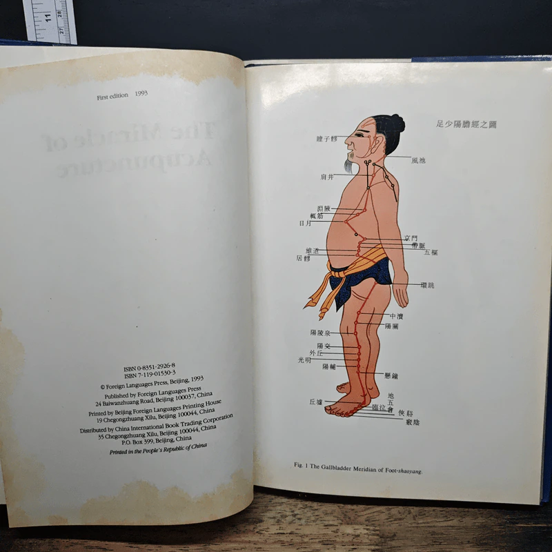 The Miracle of Acupuncture รูปที่ 6
