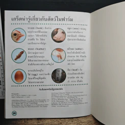 ดูฉันโตวันโตคืน : สัตว์ในฟาร์ม รูปที่ 8