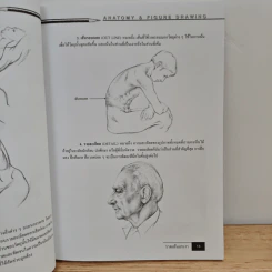 วาดเส้นแรงเงา Anatomy & Figure Drawing รูปที่ 10