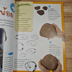 หนังสือ ลายศิลป์บนหินสวย - Lin Wellford รูปที่ 9