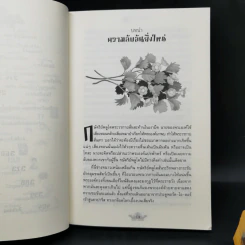 เอเร็ค เร็กซ์ เล่ม 2,3,4 - Kaza Kingsley รูปที่ 9