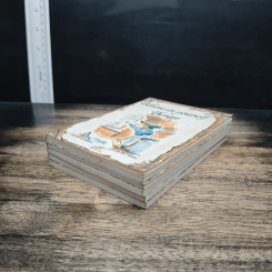 Elf-help 5 Books - R.W. Alley รูปที่ 3
