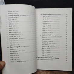 แทงเข็ม - อภิชัย ขัยดรุณ รูปที่ 9