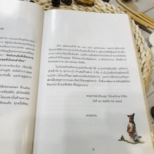 เรื่อง ทองแดง The Story of Tongdaeng (ปกแข็ง) รูปที่ 12