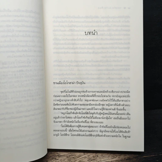 Rising Sun รอยฝันตะวันเดือด - ณารา รูปที่ 6