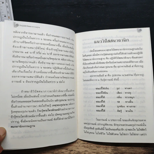 วิธีปฏิบัติวิปัสสนากรรมฐานสังเขป รูปที่ 8