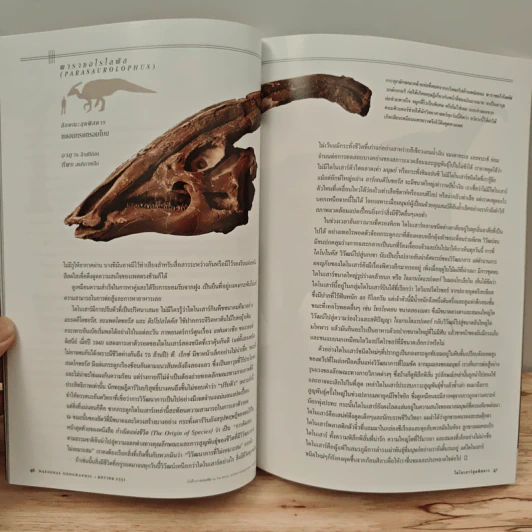 National Geographic ฉบับที่ 78 ม.ค. 2551 รูปที่ 8