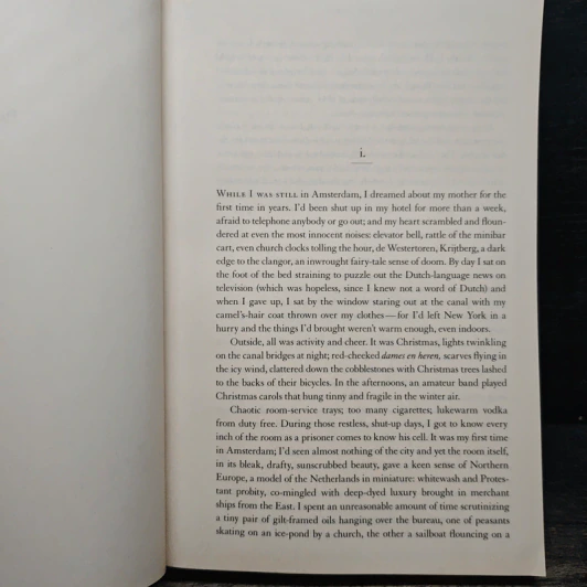 The Goldfinch - Donna Tartt รูปที่ 7