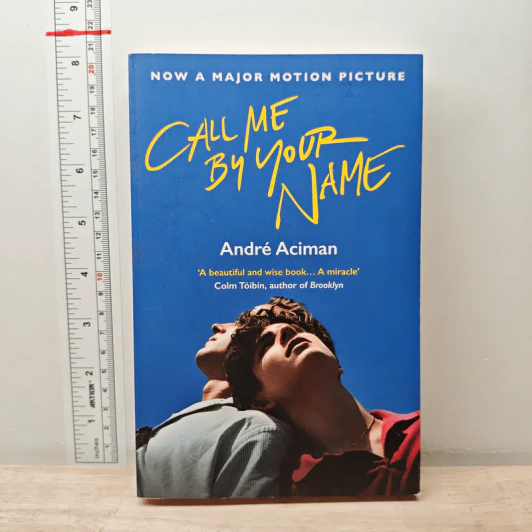 Call Me by Your Name - Andre Aciman รูปที่ 1