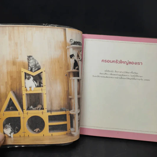 บ้านหลังใหญ่ - ทูนหัวของบ่าว รูปที่ 12