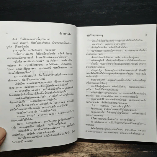 ปลายทางฝัน - จามรี พรรณชมพู รูปที่ 8
