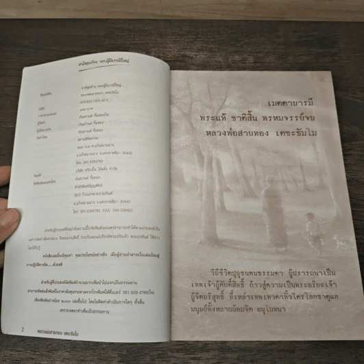 ชาติสุดท้าย พระผู้มีบารมีใหญ่ - หลวงพ่อสายทอง เตชะธัมโม รูปที่ 5