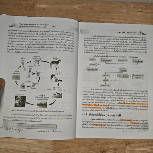 High School Biology ชีววิทยา ม.4-6 รายวิชาพื้นฐาน รูปที่ 9