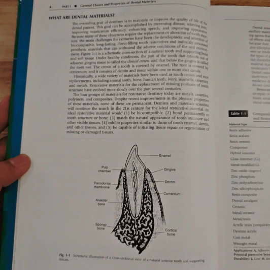 Phillips' Science of Dental Materials รูปที่ 9