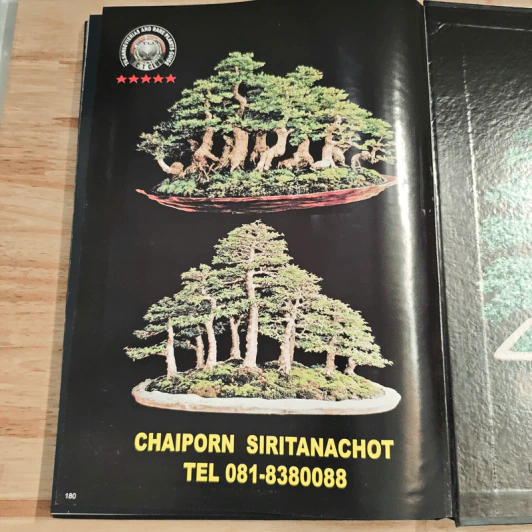 แนะนำสวน บอนไซ ไม้แปลก ลิ้นมังกร ไม้ด่าง มากกว่า 96 สวนในประทศไทย รูปที่ 9