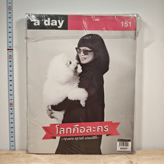 a day 151 รูปที่ 1