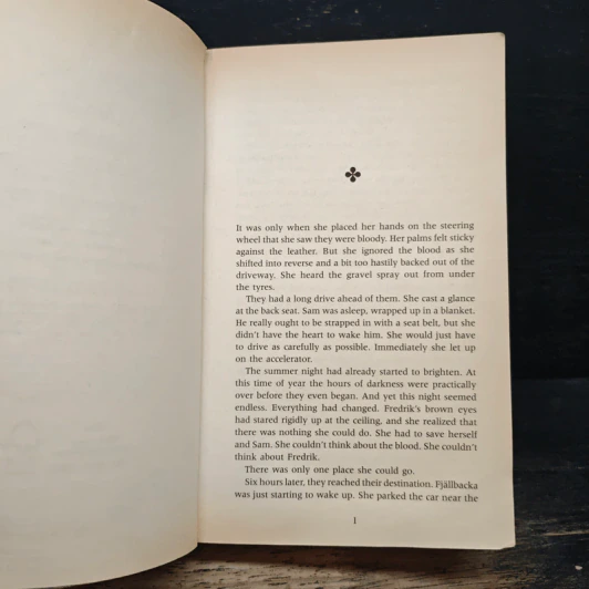 The Lost Boy - Camilla Lackberg รูปที่ 7