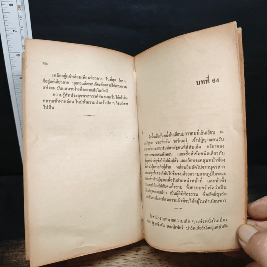 ทนายชาติเสือ - ซิดนีย์ เชลดอน รูปที่ 9