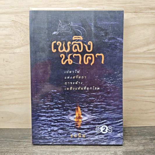 เพลิงนาคา - ชลนิล รูปที่ 1