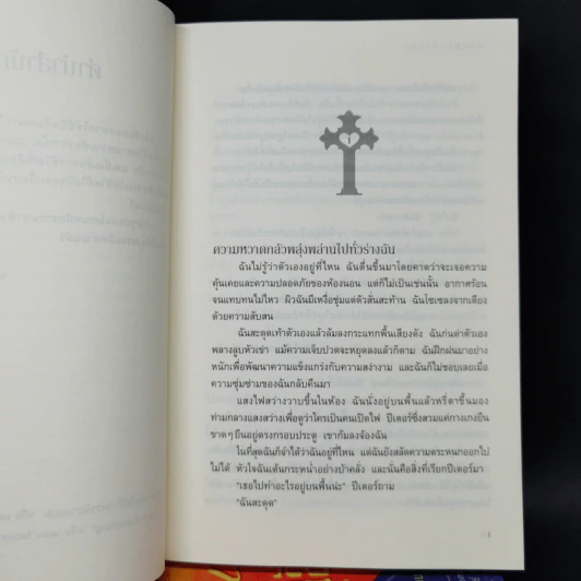 ชุด My Blood Approves 4 เล่มจบ เพ้อ + เลือน + คลั่ง + นิรันดร - อแมนด้า ฮ็อกคิง รูปที่ 12