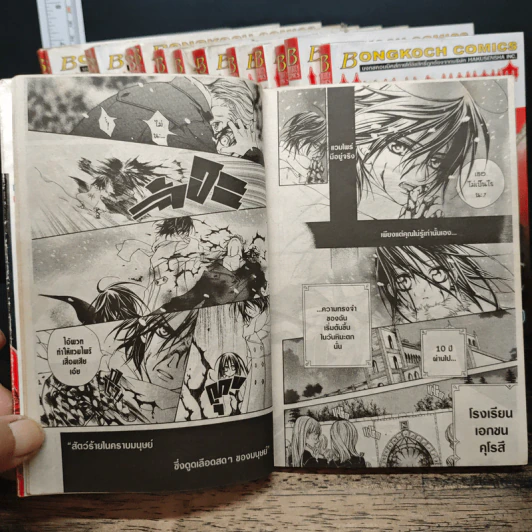 Vampire Knight เล่ม 1-15 รูปที่ 8