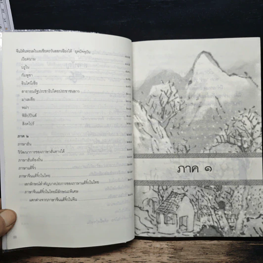 กำเนิดคนแต้จิ๋ว วิวัฒนาการจากอดีตถึงปัจจุบัน - อดุลย์ รัตนมั่นเกษม รูปที่ 8