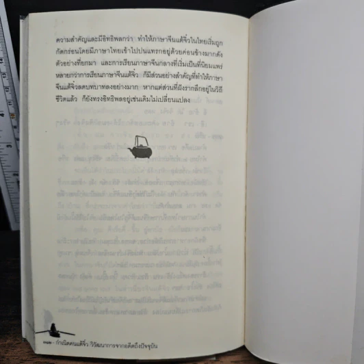 กำเนิดคนแต้จิ๋ว วิวัฒนาการจากอดีตถึงปัจจุบัน - อดุลย์ รัตนมั่นเกษม รูปที่ 10