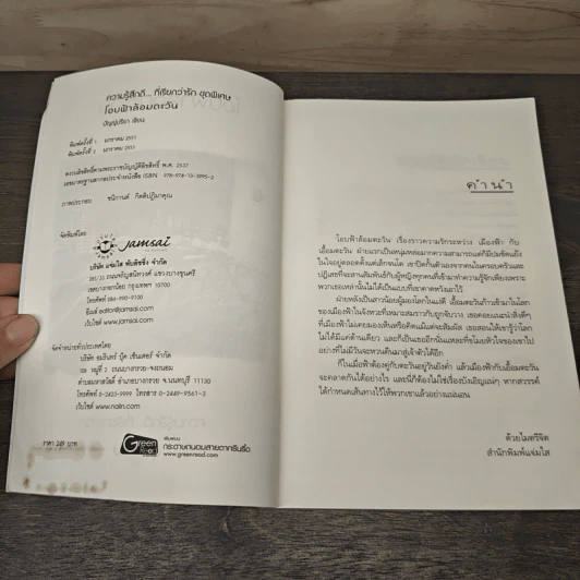 โอบฟ้าล้อมตะวัน - ปัญญ์ปรียา รูปที่ 6