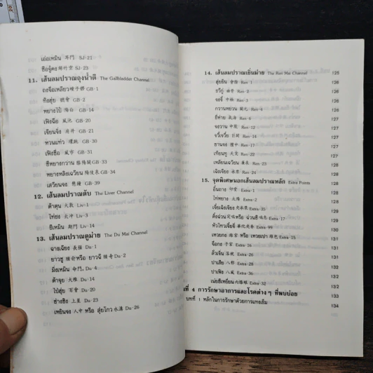 แทงเข็ม - อภิชัย ขัยดรุณ รูปที่ 9