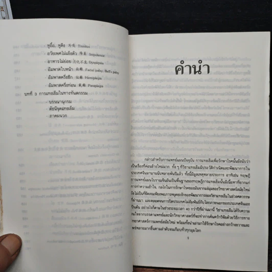 แทงเข็ม - อภิชัย ขัยดรุณ รูปที่ 11