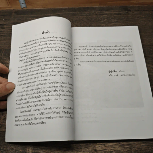 อาหารเพิ่มพลัง - อู๋ต้นจื่อ รูปที่ 7