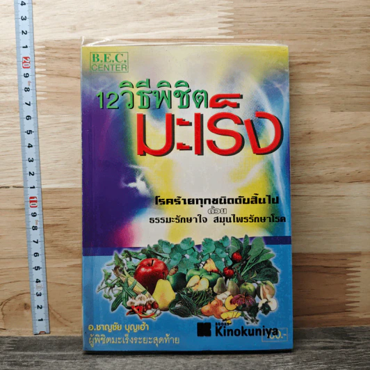 12 วิธีพิชิตมะเร็ง - อ.ชาญชัย บุญเฮ้า รูปที่ 1